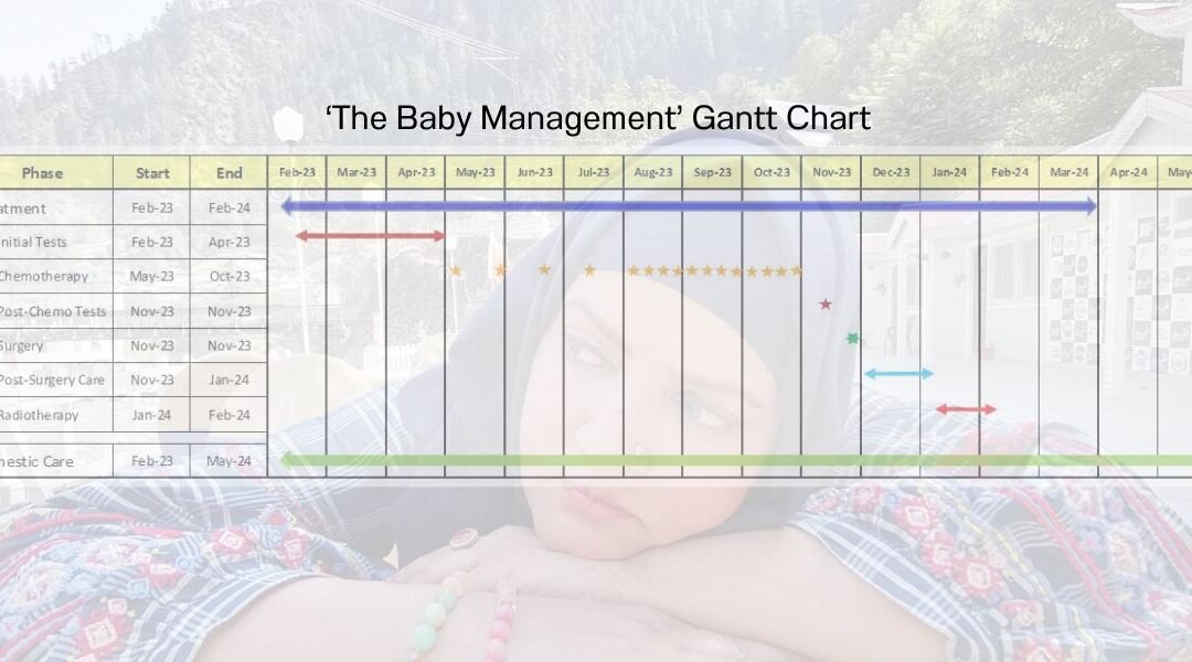 ‘The Baby Management’– An Exploration Project Manager’s Unconventional Shift From Strata To Soufflé