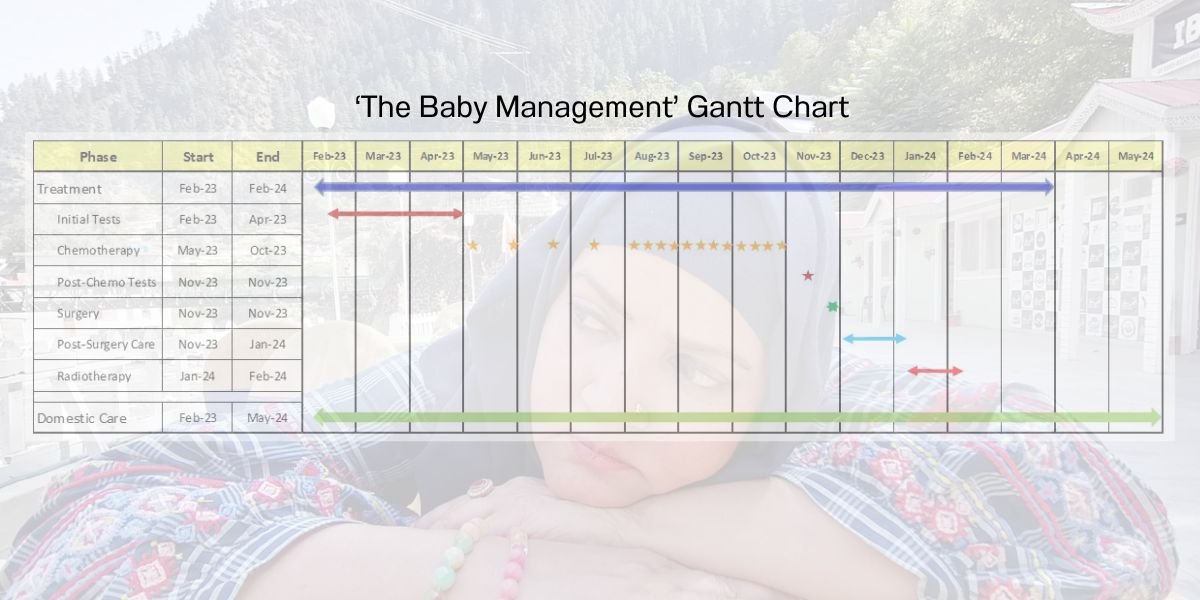 The Baby Management project - Gantt Chart
